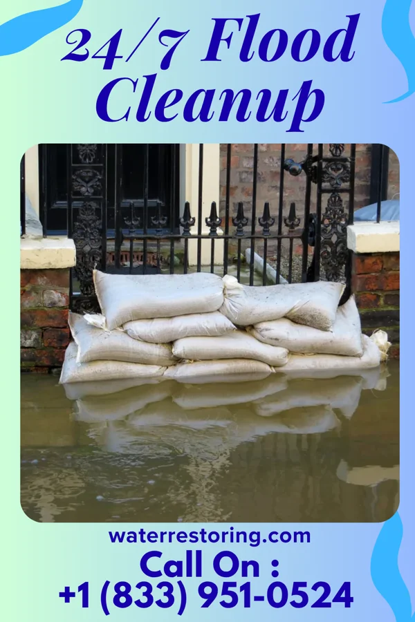 24/7 Flood Cleanup in Hendricks, MN