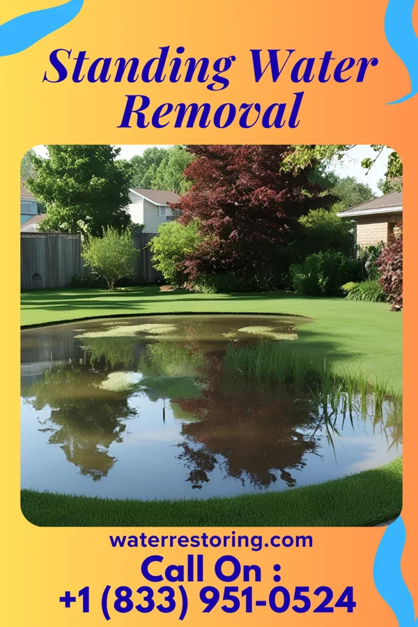 Standing Water Removal in Hendricks, MN